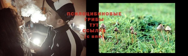 прущий лед Алексин