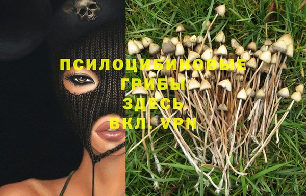 прущий лед Алексин