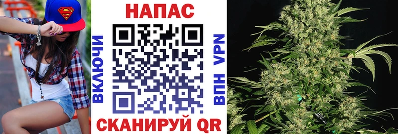 Канабис индика  Сосенский 